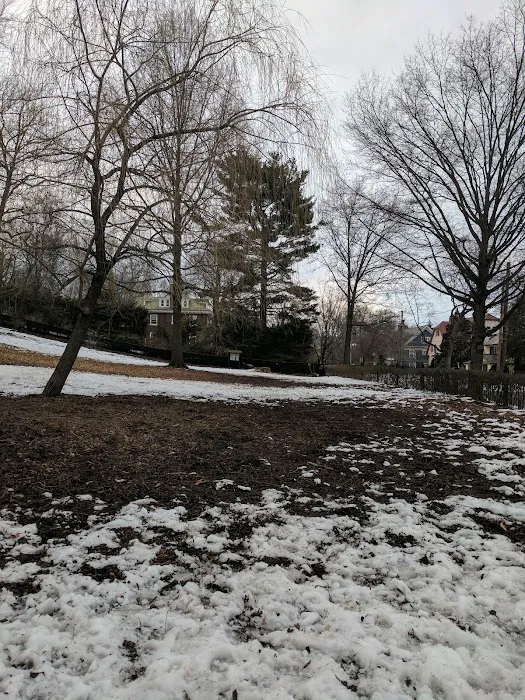 Saint Ronan Street Dog Park 1