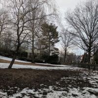 Saint Ronan Street Dog Park ico