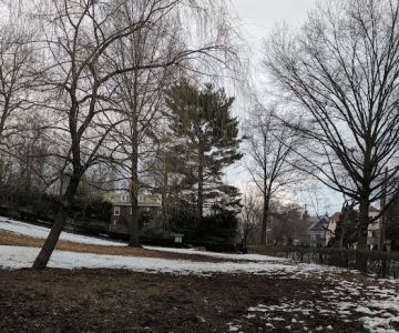 Saint Ronan Street Dog Park
