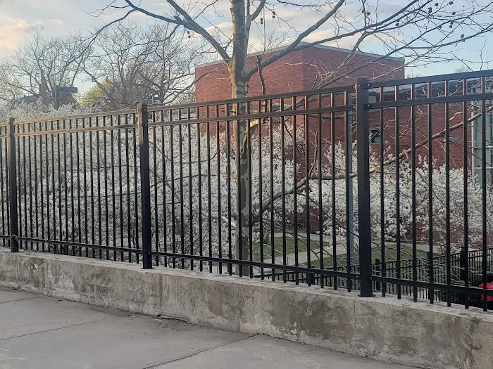 East Rock Dog Park 2