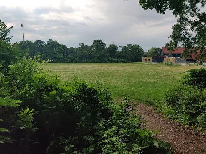 East Rock Dog Park 6