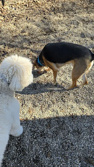 East Rock Dog Park 7