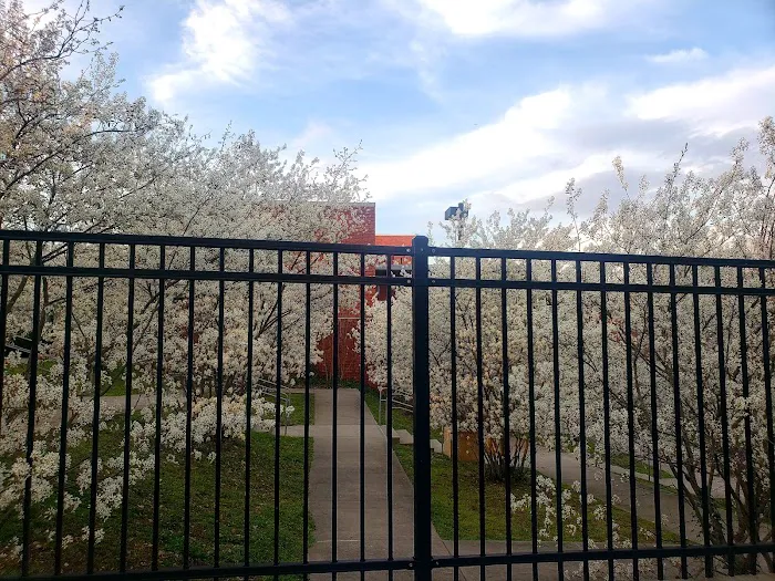 East Rock Dog Park 8