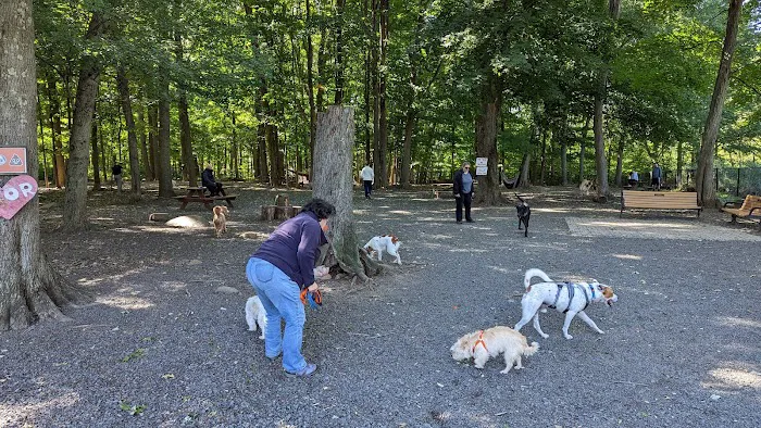 Hamden Dog Park 7