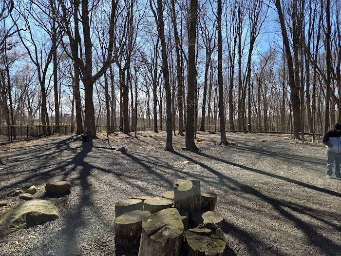 Hamden Dog Park 1