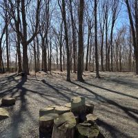 Hamden Dog Park ico