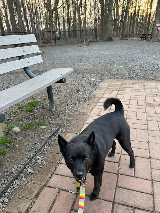 Hamden Dog Park 2