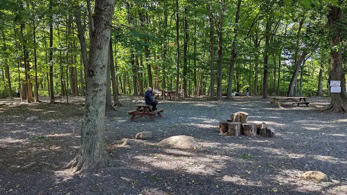Hamden Dog Park 5
