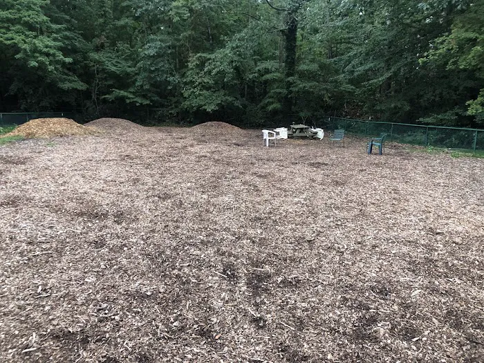 Short Beach Dog Park 4