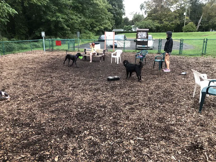Short Beach Dog Park 7