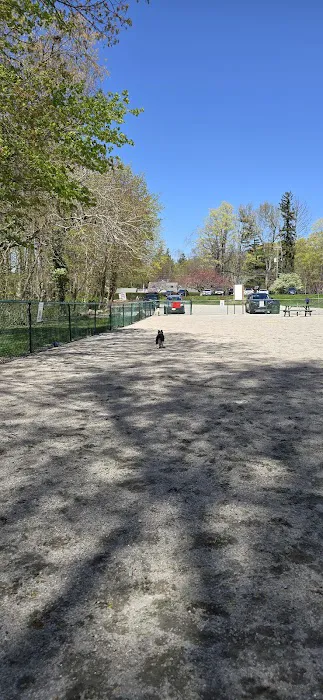 Short Beach Dog Park 8