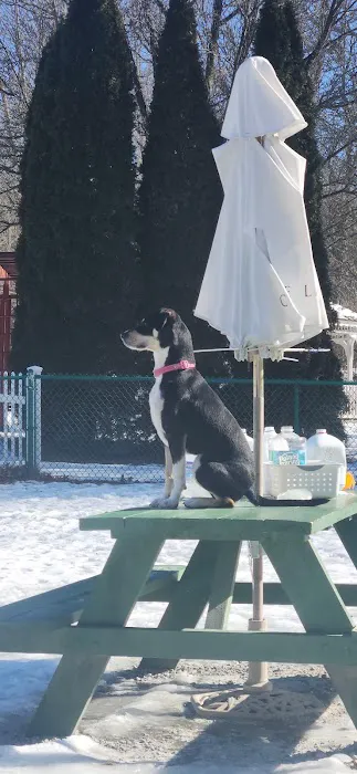 Short Beach Dog Park 1