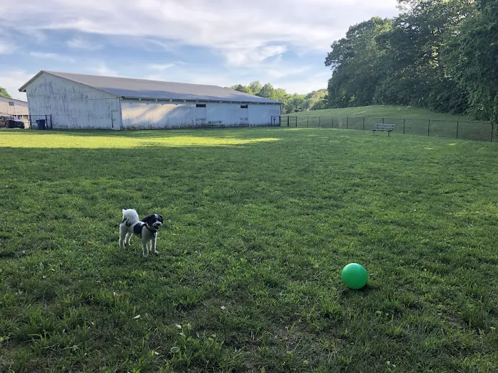 Northford Dog Park 2