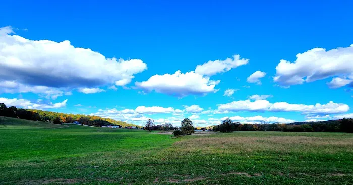 Northford Dog Park 6