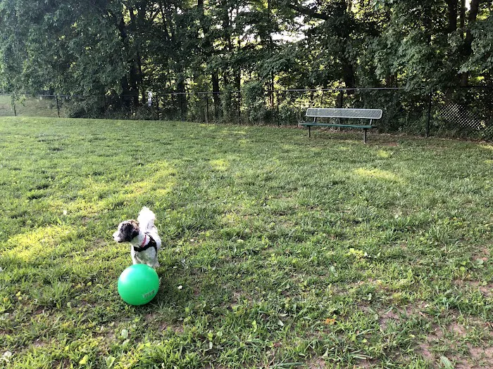 Northford Dog Park 4