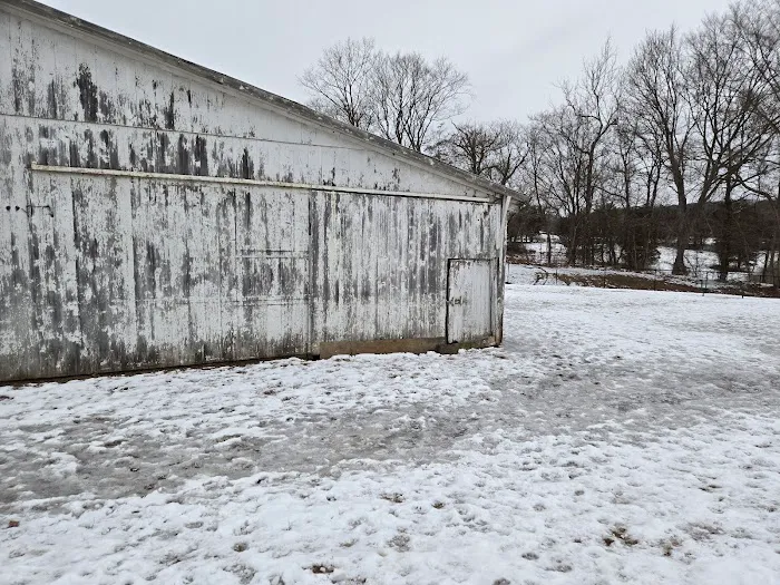 Northford Dog Park 10