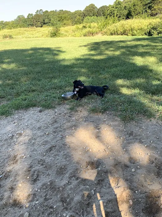 Springs Park Dog Park 2