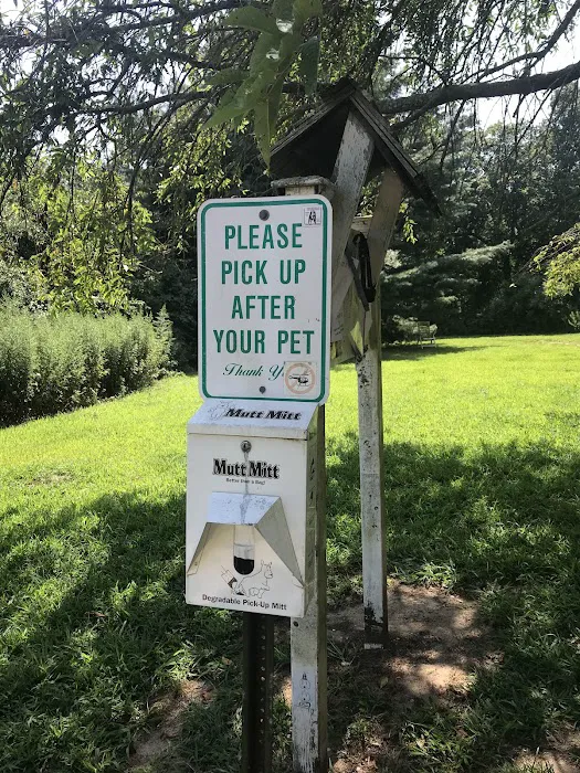 Springs Park Dog Park 1