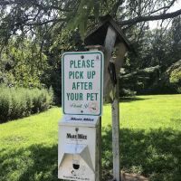 Springs Park Dog Park ico