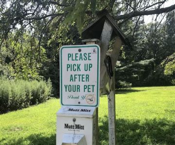 Springs Park Dog Park