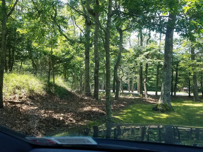 Springs Park Dog Park 9