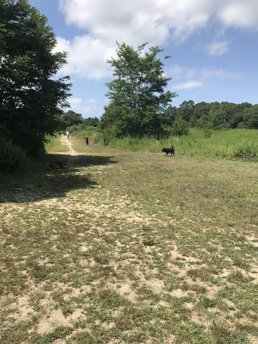 Springs Park Dog Park 7