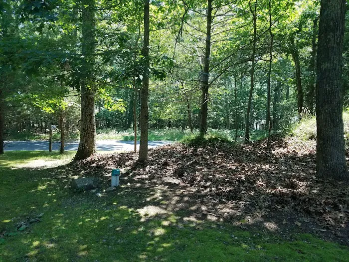 Springs Park Dog Park 8