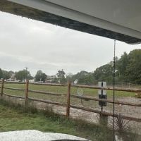 Madison Dog Park ico