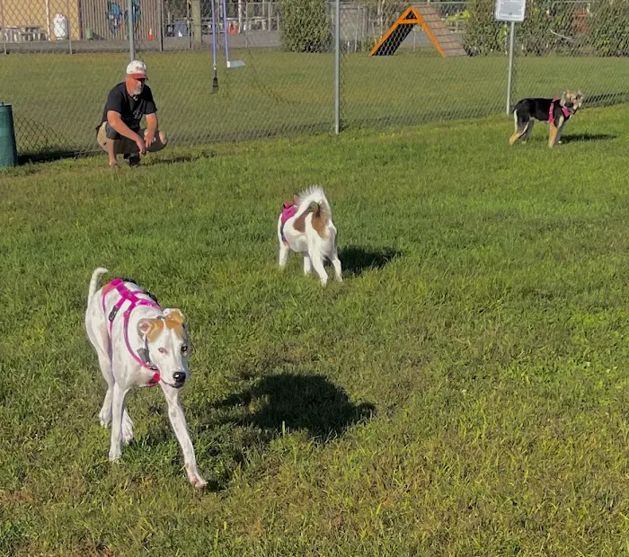 Bailey’s Dog Park 1