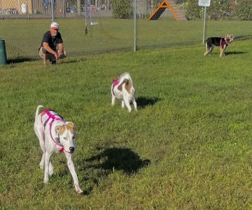 Bailey’s Dog Park