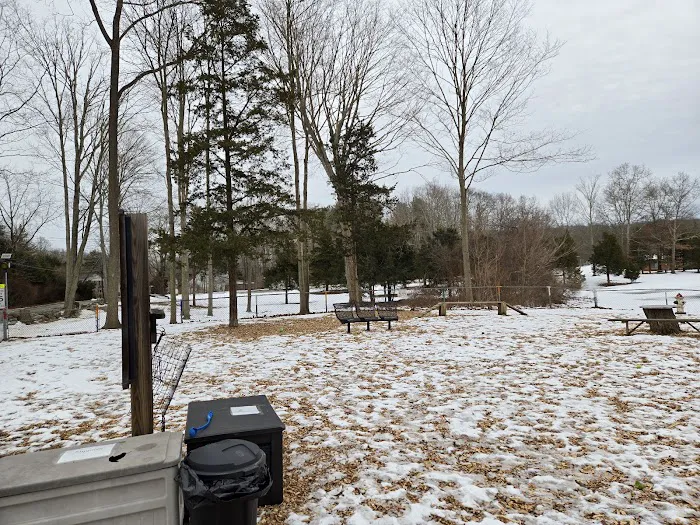 Bailey’s Dog Park 5