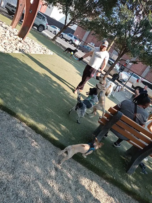 Piazza Dog Park 9