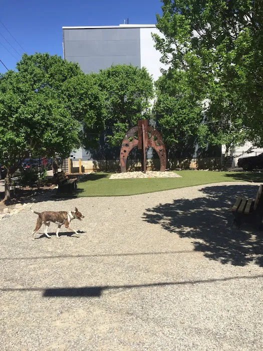 Piazza Dog Park 7