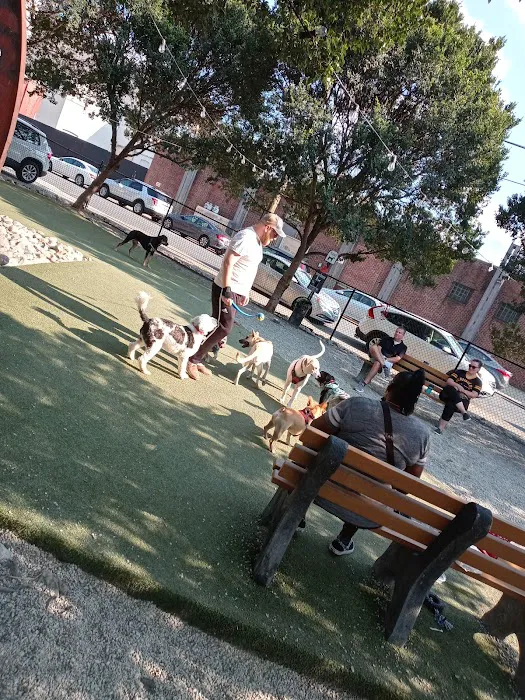Piazza Dog Park 3