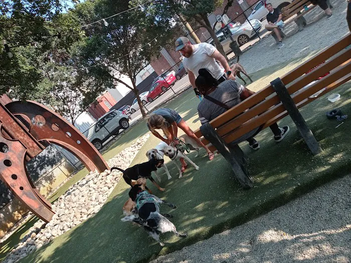 Piazza Dog Park 4