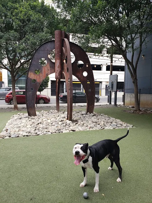 Piazza Dog Park 10