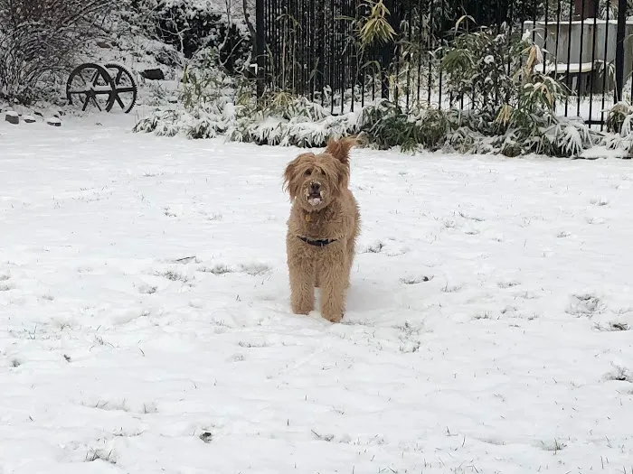 Tucker Dog Park 9
