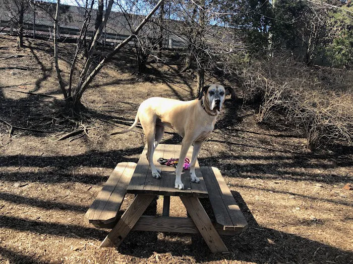 Tucker Dog Park 2