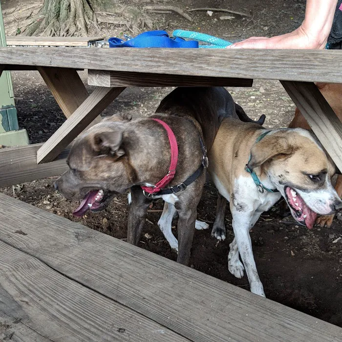 Tucker Dog Park 10