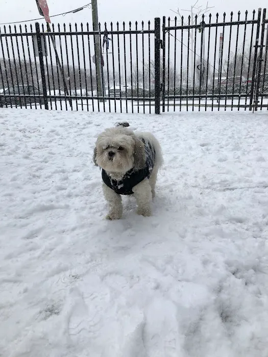 Tucker Dog Park 4
