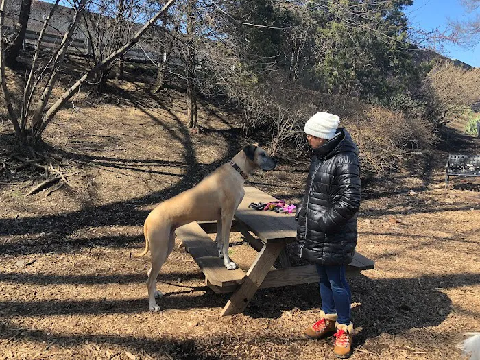Tucker Dog Park 3
