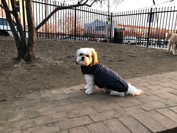 Tucker Dog Park 5