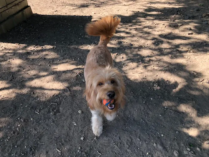 Tucker Dog Park 1