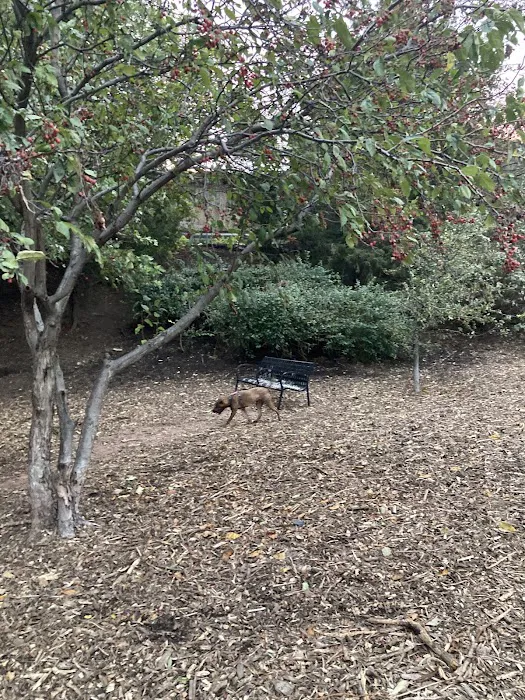 Tucker Dog Park 7