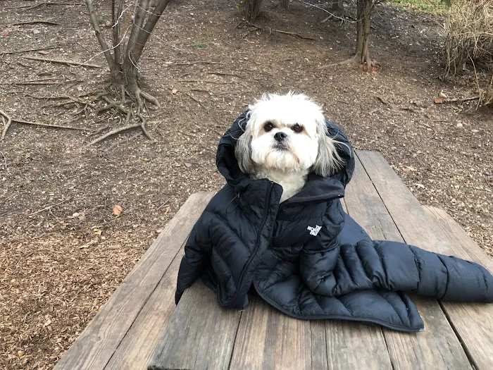 Tucker Dog Park 6