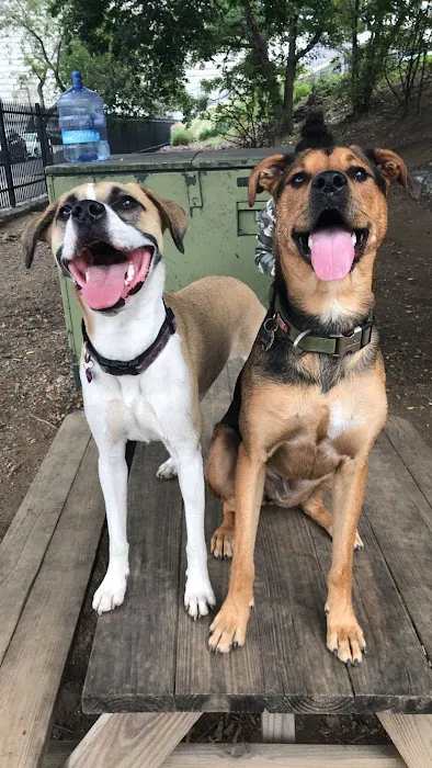 Tucker Dog Park 8