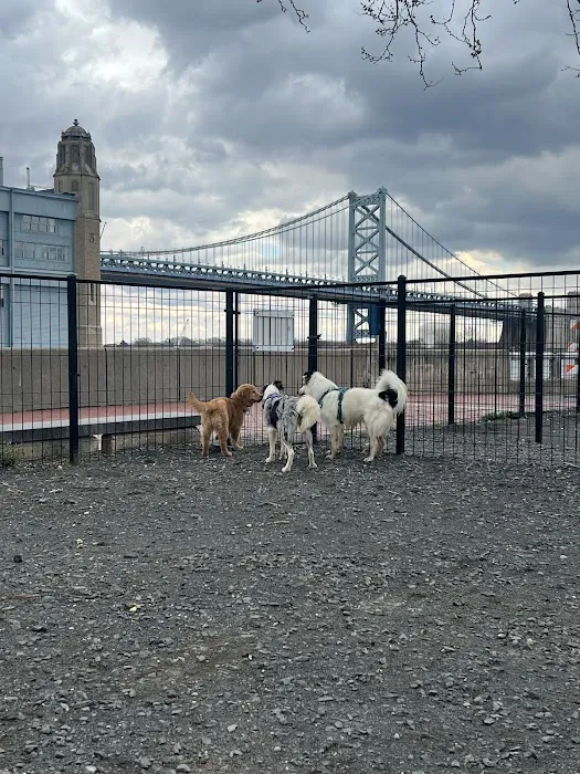 Penn's Landing Dog Park 4