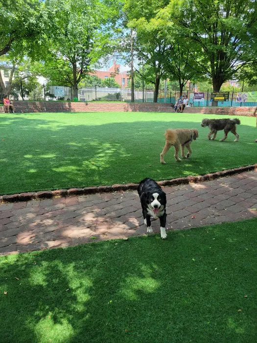 Seger Dog Park 3