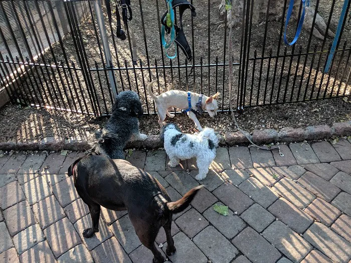 Seger Dog Park 2