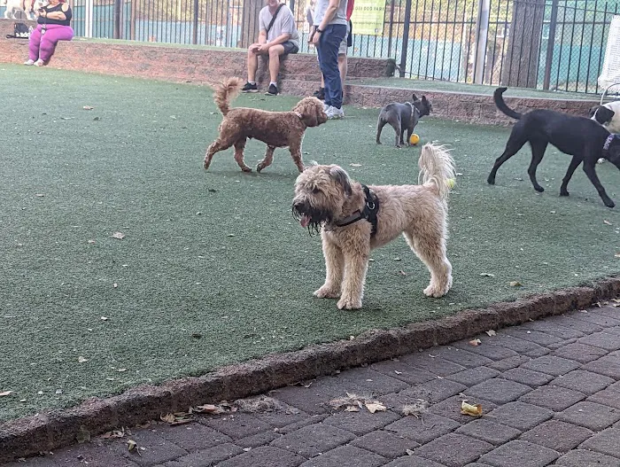 Seger Dog Park 8
